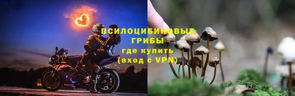 PSILOCYBIN Бородино